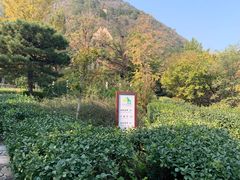-北京鹫峰国家森林公园