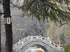 -西苑公园