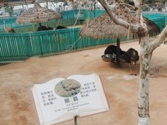 -西霞口神雕山野生动物世界