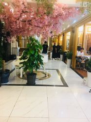 -逸丝风尚