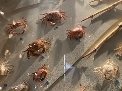 -中国湿地博物馆
