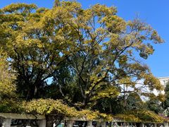 -云南师范大学(一二一西南联大校区)