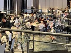 -新加坡乌节希尔顿酒店 (SG Clean)