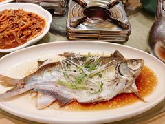 -刘胖子家常菜·蹄花焖藕(中南店)