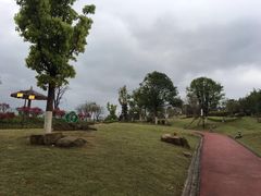 -铁山坪森林公园