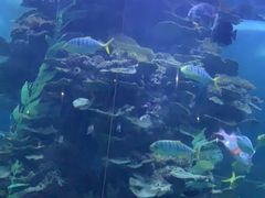 -蓬莱欧乐堡海洋极地世界