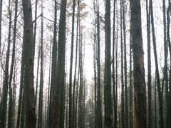 -山王坪喀斯特国家生态公园