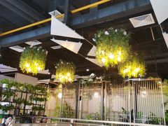 -四季合味椰子鸡(南山大冲店)