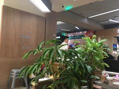 -苏小柳点心·手作小笼包(浦东嘉里城分院)