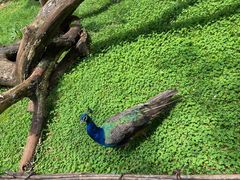 -昆明动物园