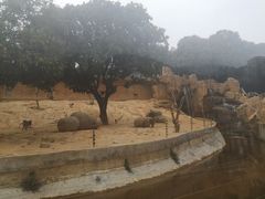 -泉州海丝野生动物世界