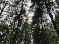 -关门山森林公园