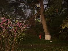 -浙江西子宾馆·瑶园咖啡厅