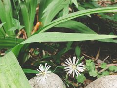 -汉中石门栈道景区