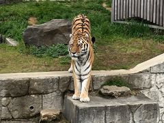 -杭州野生动物世界