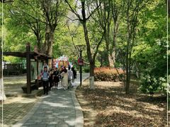 -宝岩生态观光园