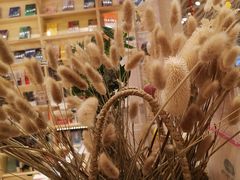 -猫的天空之城概念书店(印象城购物中心店)