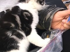 -宠颐生中康贝怡动物医院