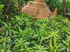 -南宫五洲植物乐园