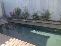 -候鸟水榕庄度假酒店