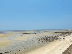 -北海金海湾红树林生态旅游区