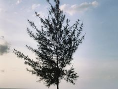 -白沙门生态公园