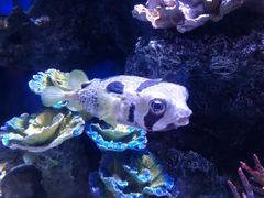 -华夏文旅海洋公园