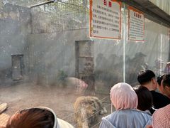 -银川动物园