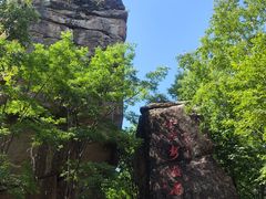 -汤旺河林海奇石景区