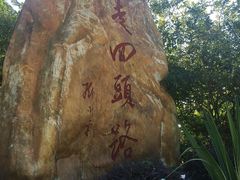 -罗三妹山