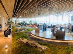 -Seesaw Coffee(朝阳大悦城店)