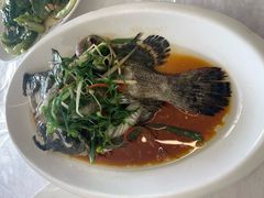 老虎斑-众味海鲜大排档·活海鲜·潮汕味(南澳店)