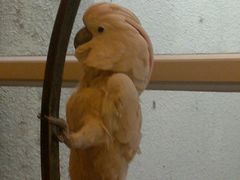 -月亮河温泉度假酒店