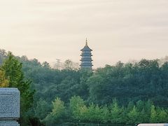 -重庆园博园