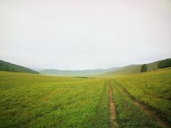 -塞罕坝国家级自然保护区