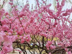 -元大都城垣遗址公园