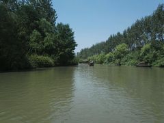 -溱湖国家湿地公园