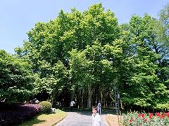 -东湖落雁景区