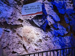 -周口店北京人遗址公园