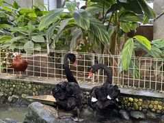 -南宫五洲植物乐园