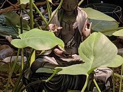 -邈墨茶馆(凤起路店)