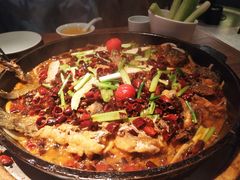 -老板恋上鱼(印象城店)