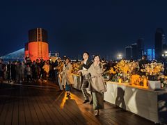 -武汉知音号