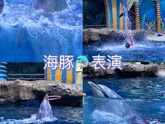 -郑州海洋馆