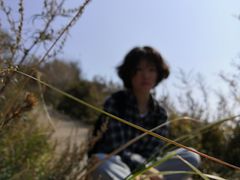 -白草畔自然风景区