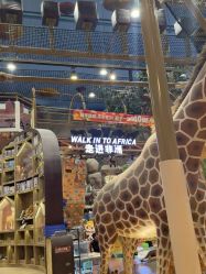 -卡通尼·Safari非洲探索乐园·生日会(金桥国际商业广场店)
