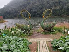 -广州市石门国家森林公园