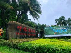 -呀诺达热带雨林