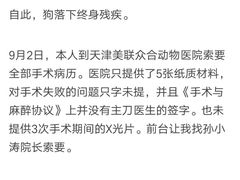 -美联众合动物医院·24h转诊中心