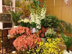 -蝶舍·MAISON PAPILLON